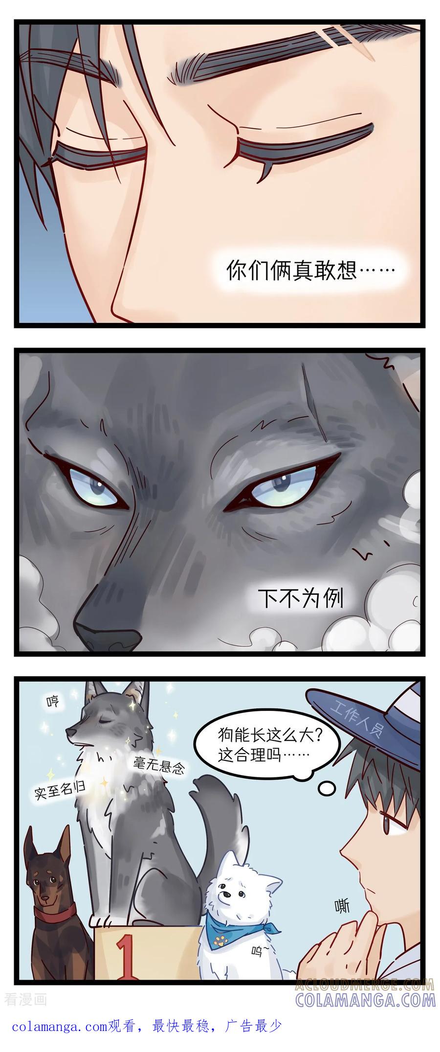 第72话选美大赛-灵裔：我的室友不正常-泊川、灵桔子（第3张）