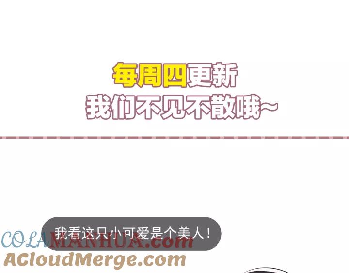 85.jpg