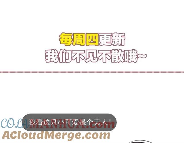 97.jpg