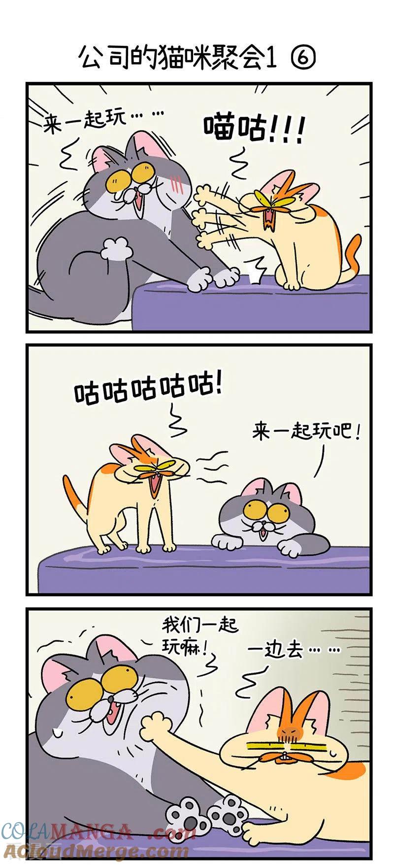 第65话2公司的猫咪聚会-阿满和麦茶-新漫画 日胖大海寺（第4张）