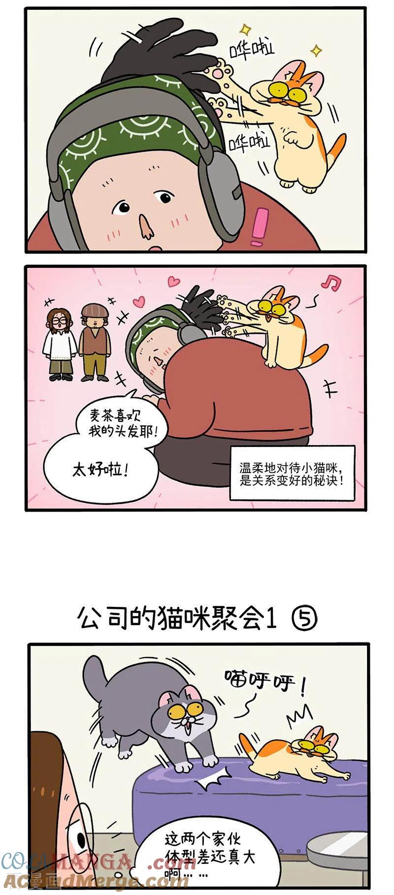 第65话2公司的猫咪聚会-阿满和麦茶-新漫画 日胖大海寺（第2张）