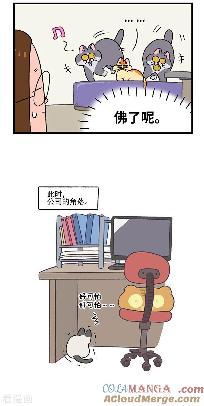 第65话2公司的猫咪聚会-阿满和麦茶-新漫画 日胖大海寺（第5张）