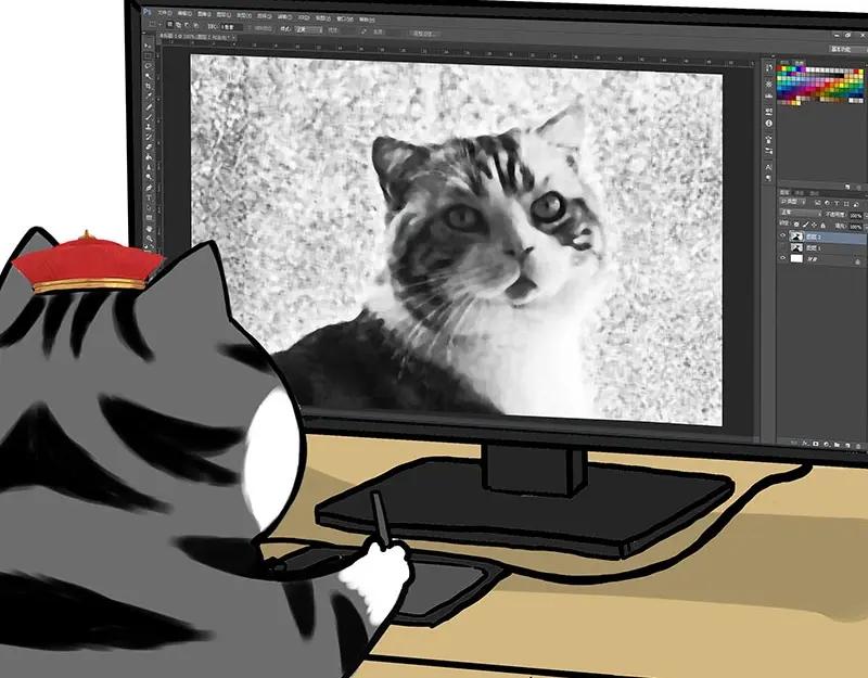 55.jpg