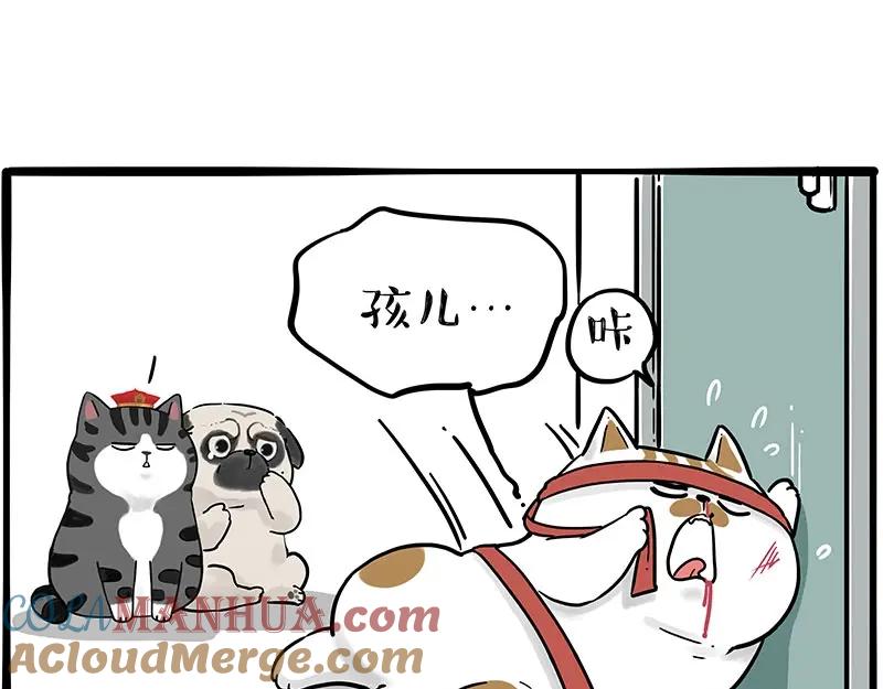 43.jpg