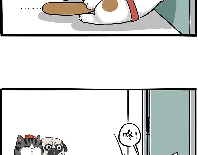 44.jpg