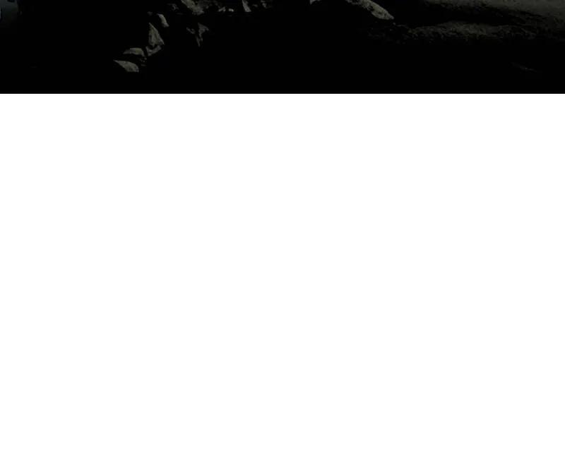 83.jpg