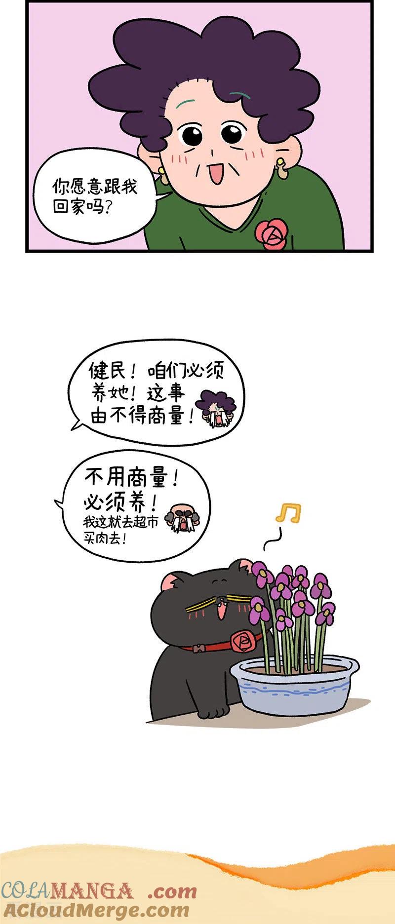 第48话2花娇的过去-阿满和麦茶-新漫画 日胖大海寺（第6张）