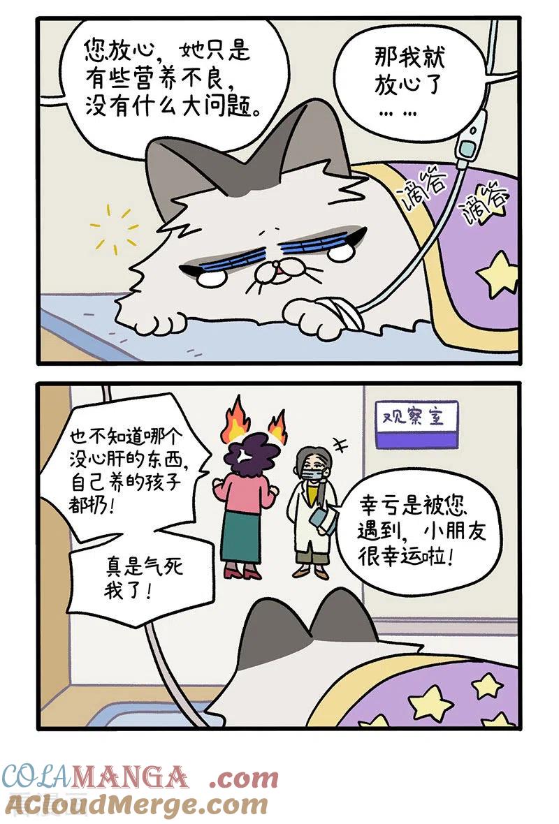 第48话2花娇的过去-阿满和麦茶-新漫画 日胖大海寺（第2张）