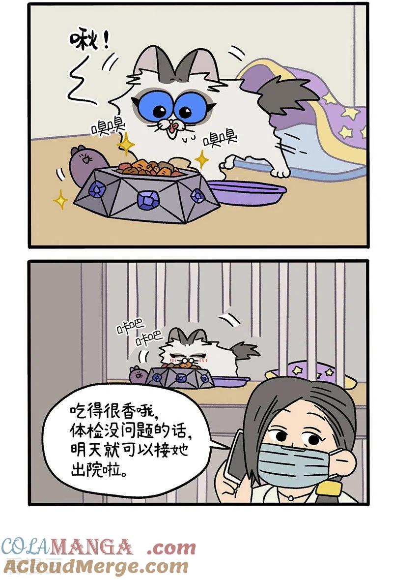 第48话2花娇的过去-阿满和麦茶-新漫画 日胖大海寺（第4张）