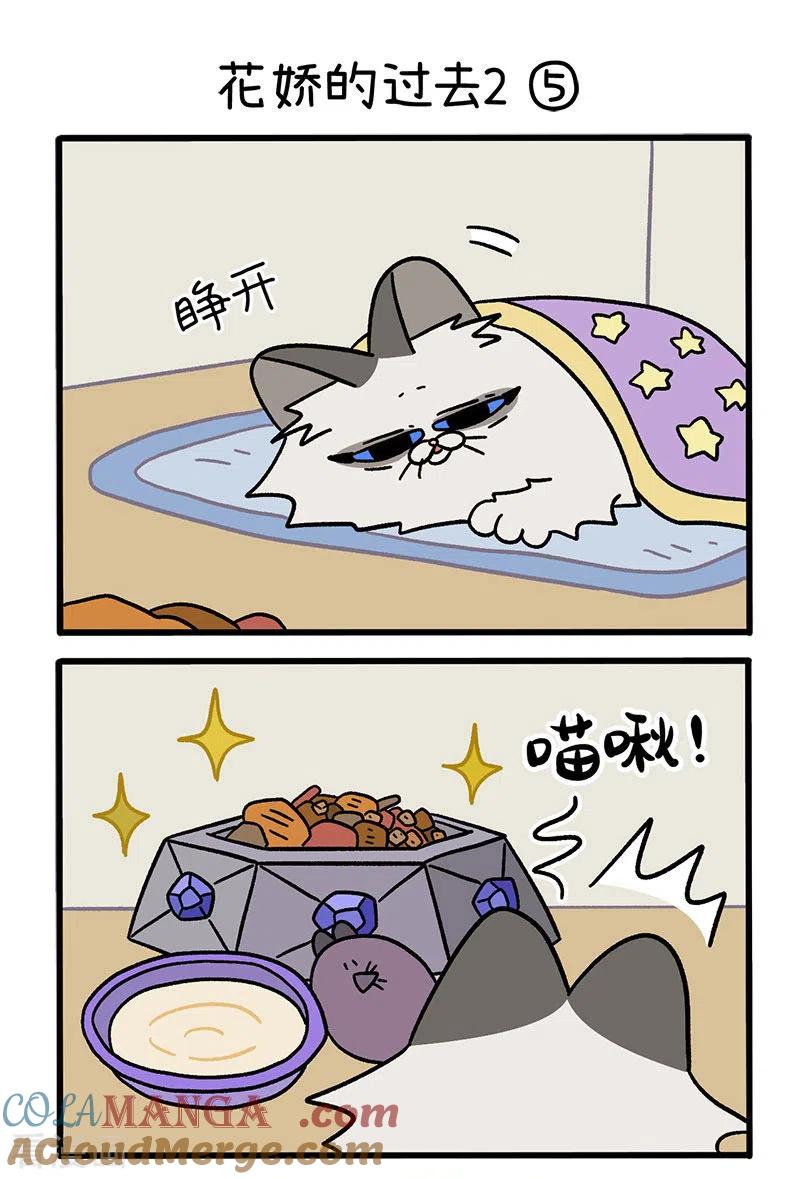 第48话2花娇的过去-阿满和麦茶-新漫画 日胖大海寺（第3张）
