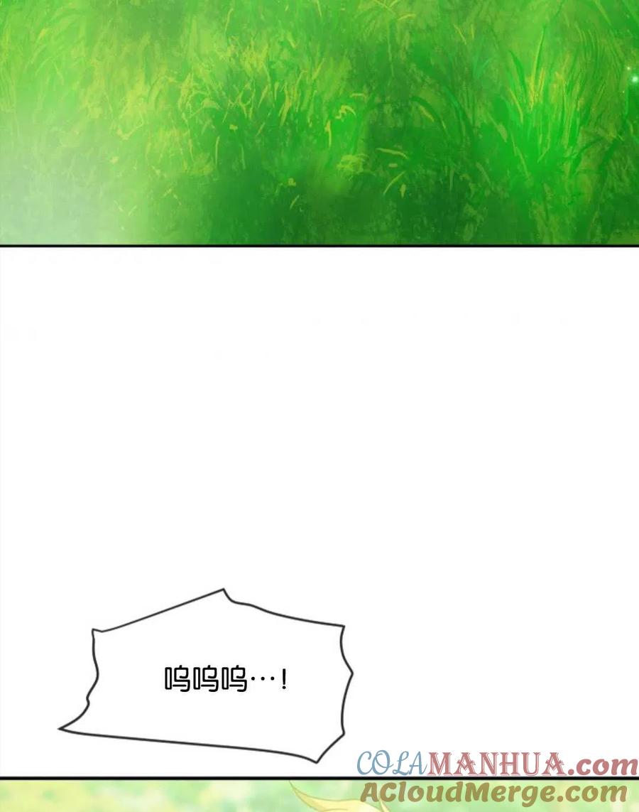 97.jpg