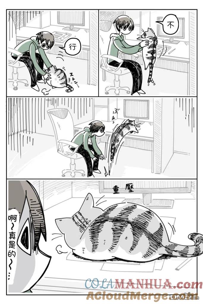 第10话-关于养猫我一直是新手-キュルZ（第2张）