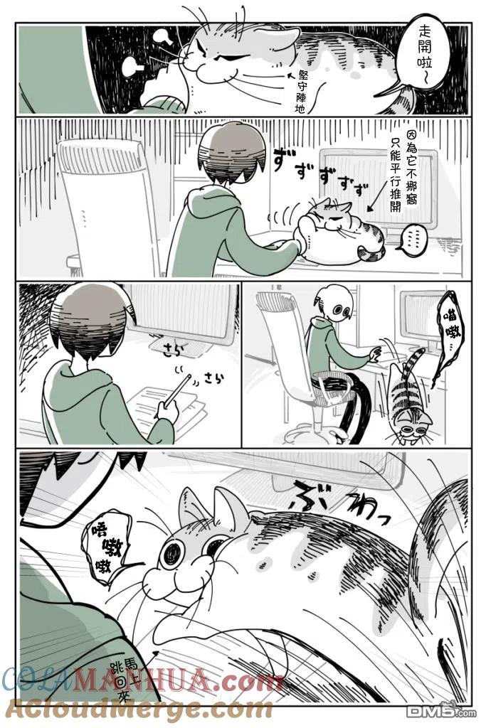 第10话-关于养猫我一直是新手-キュルZ（第1张）