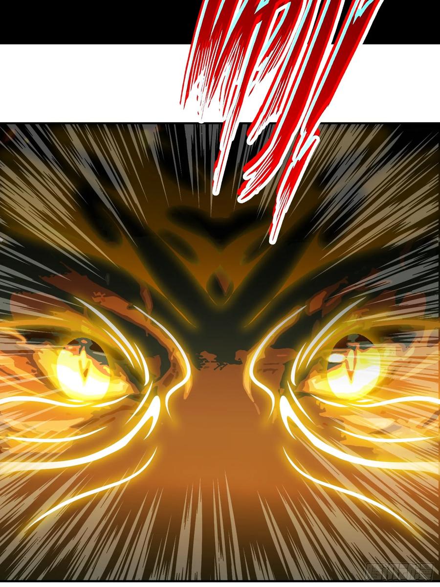 47.jpg