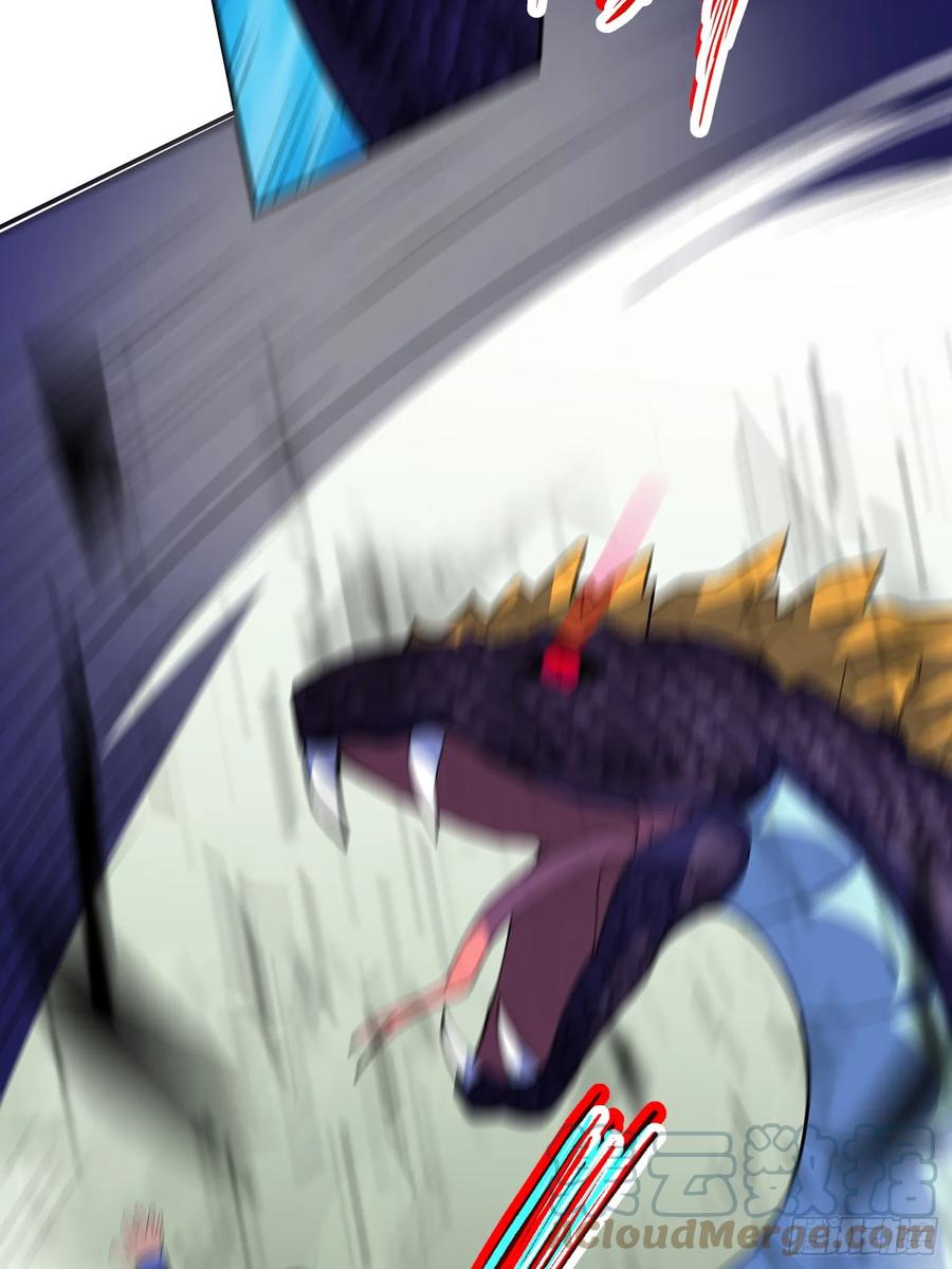 55.jpg