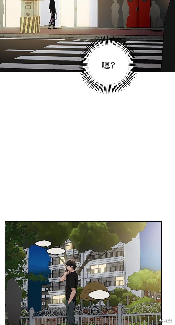 41.jpg