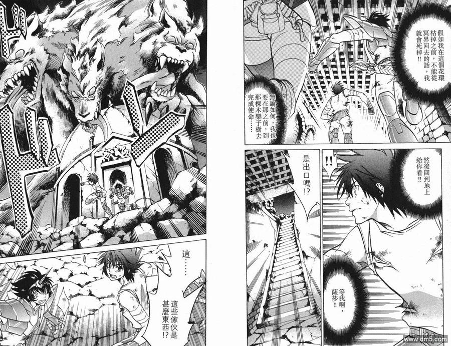 第4卷-圣斗士星矢 冥王神话-手代木史织（第4张）
