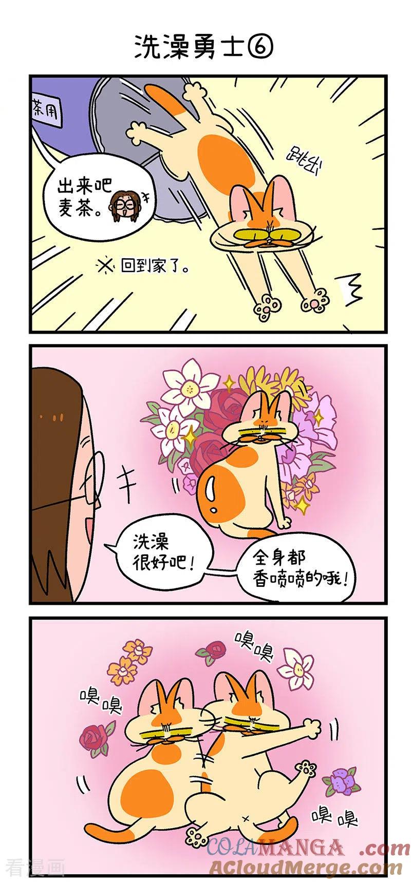 第56话2洗澡勇士-阿满和麦茶-新漫画 日胖大海寺（第4张）