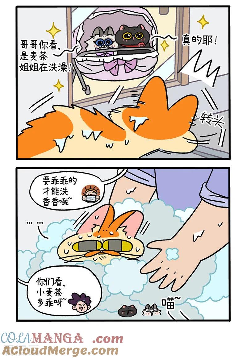 第56话2洗澡勇士-阿满和麦茶-新漫画 日胖大海寺（第2张）