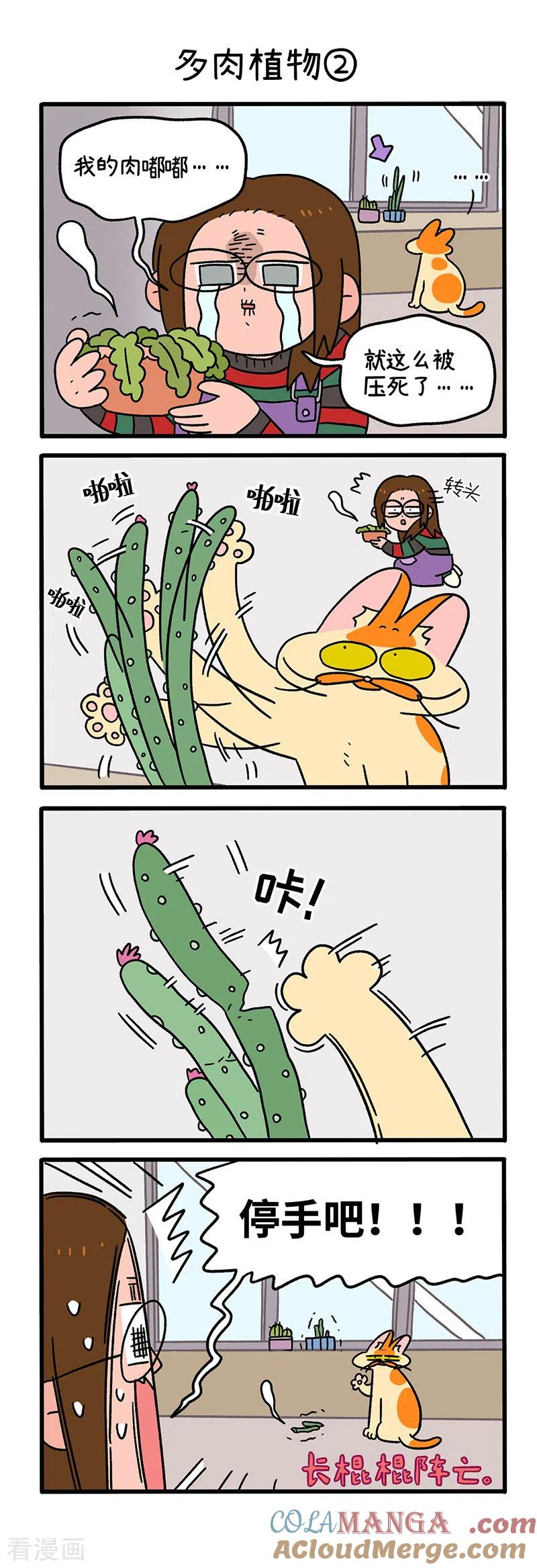 第57话多肉植物-阿满和麦茶-新漫画 日胖大海寺（第3张）