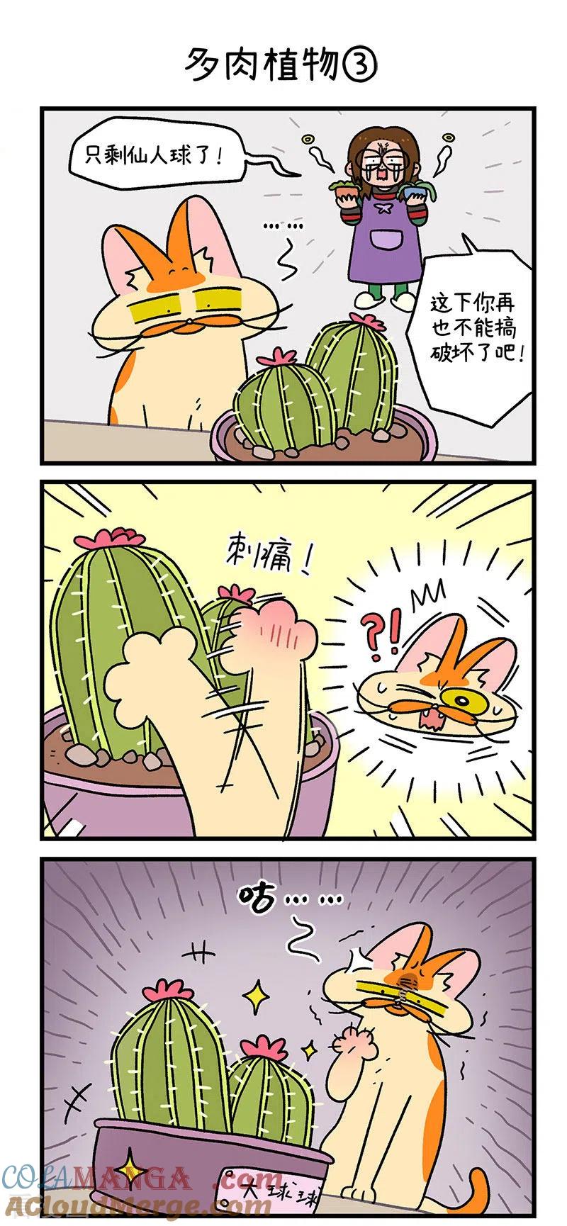 第57话多肉植物-阿满和麦茶-新漫画 日胖大海寺（第4张）