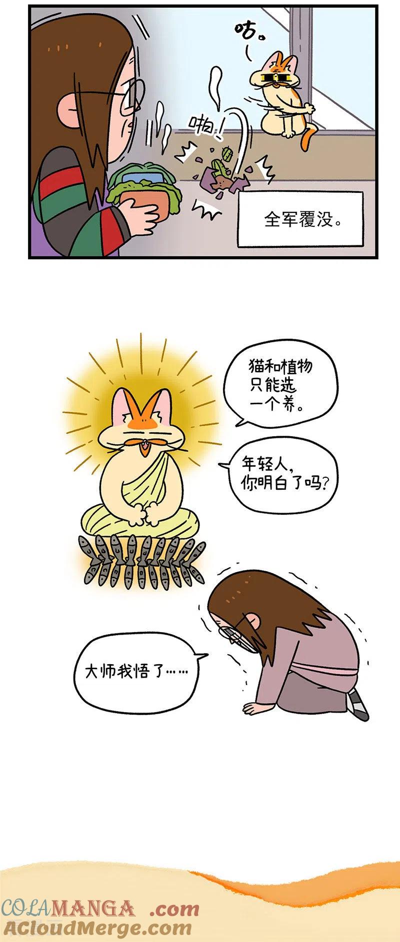 第57话多肉植物-阿满和麦茶-新漫画 日胖大海寺（第5张）