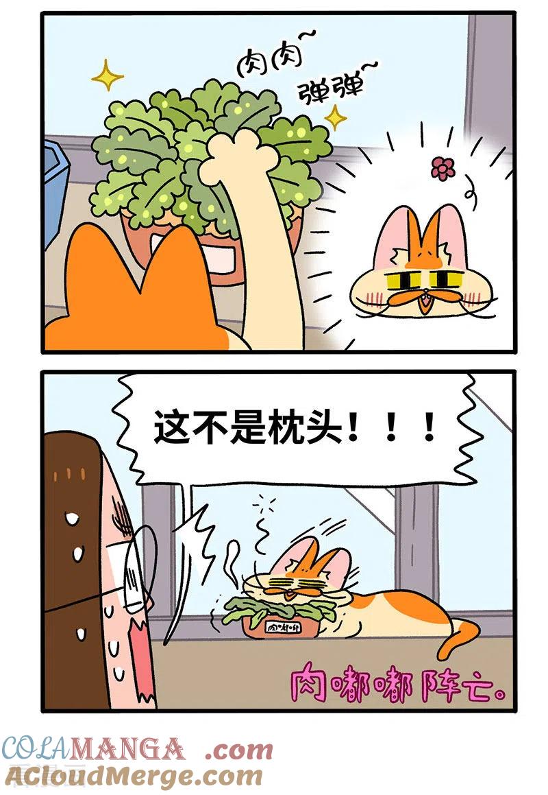 第57话多肉植物-阿满和麦茶-新漫画 日胖大海寺（第2张）