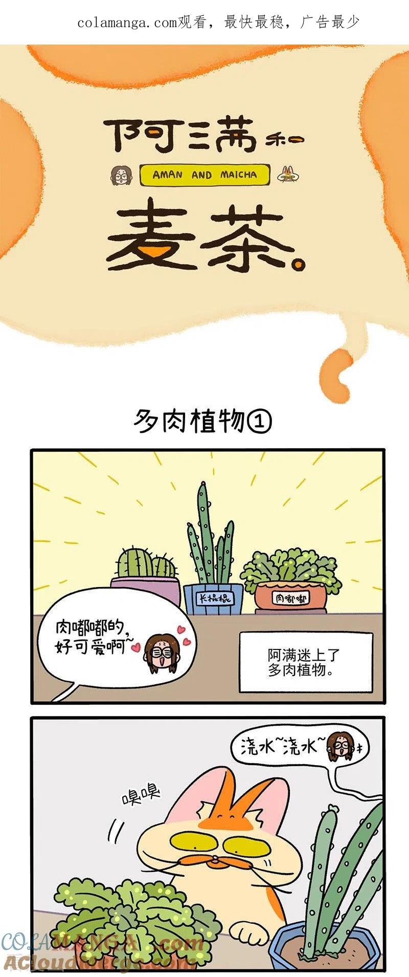 第57话多肉植物-阿满和麦茶-新漫画 日胖大海寺（第1张）