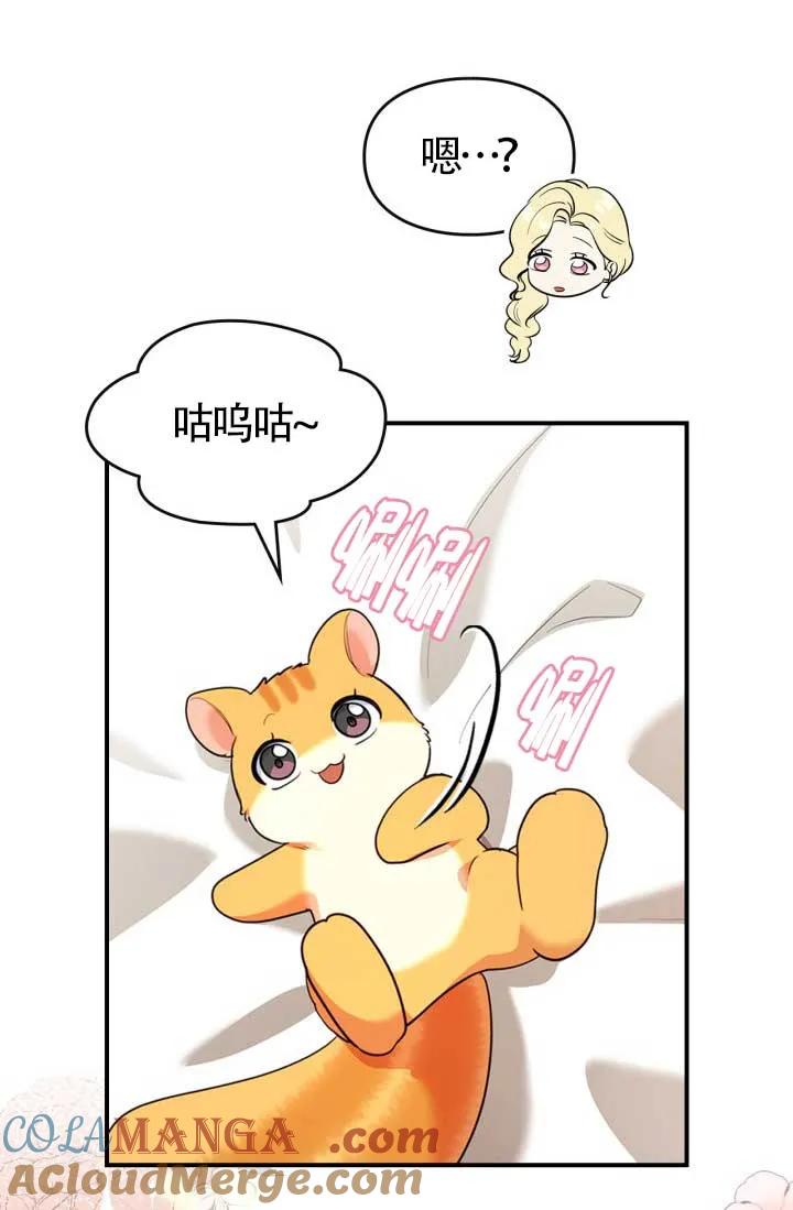 41.jpg