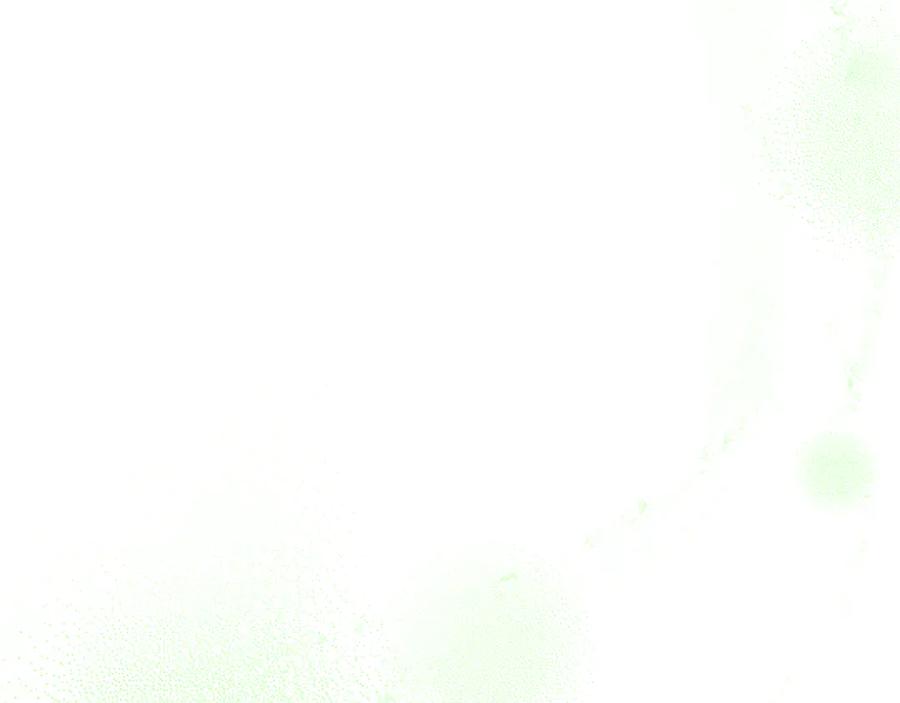 127.jpg