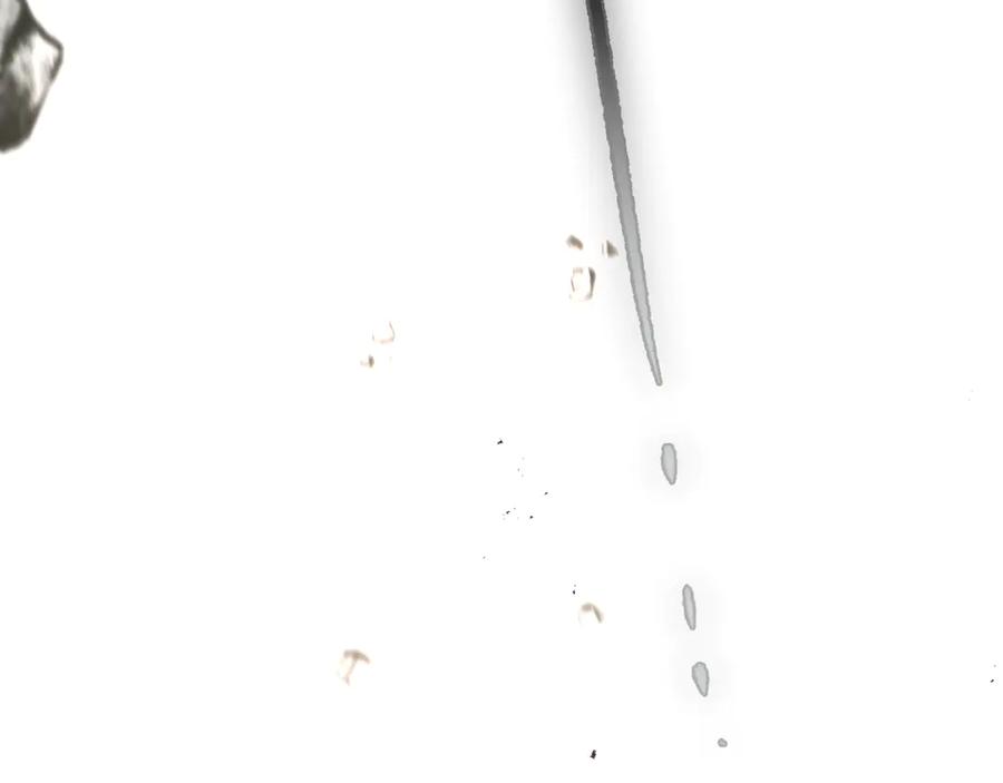 74.jpg