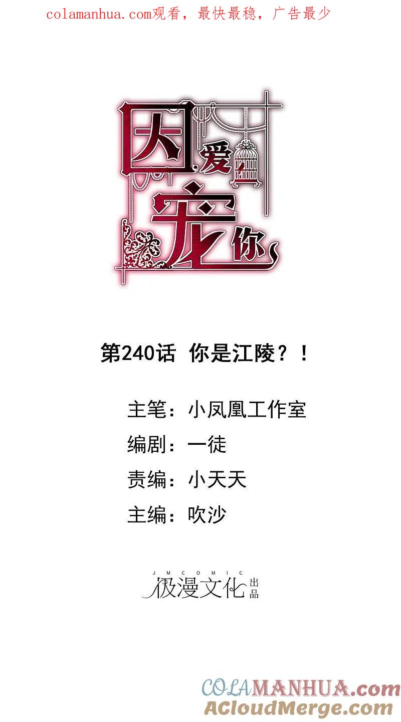第240话-因爱宠你-极漫文化（第1张）