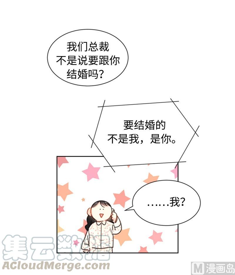 17.要不我们还是招了吧-我和总裁相了个亲-多蕴文化（第29张）
