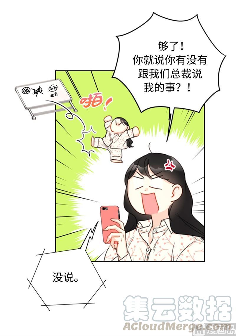 17.要不我们还是招了吧-我和总裁相了个亲-多蕴文化（第11张）