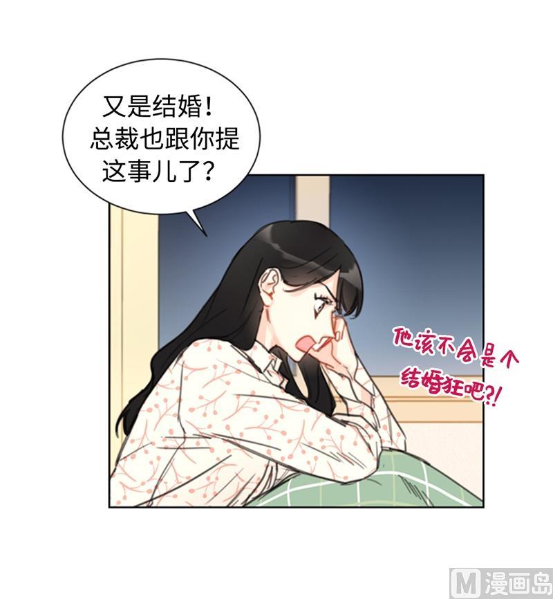 17.要不我们还是招了吧-我和总裁相了个亲-多蕴文化（第26张）