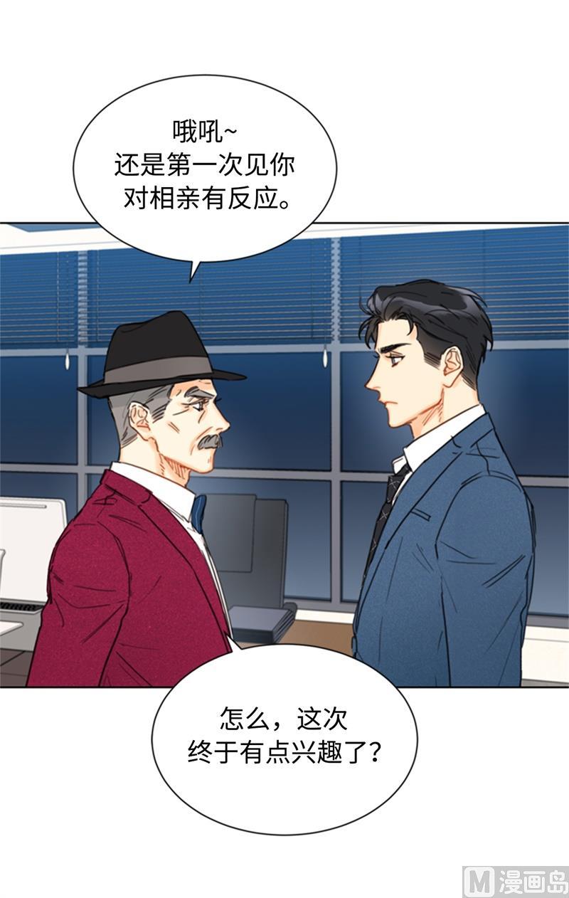35.不是被甩，是被骗了！-我和总裁相了个亲-多蕴文化（第10张）