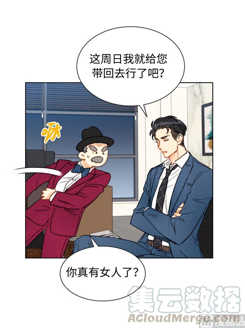 35.不是被甩，是被骗了！-我和总裁相了个亲-多蕴文化（第19张）