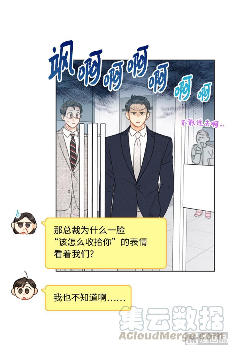 42.竟敢欺骗我！-我和总裁相了个亲-多蕴文化（第17张）