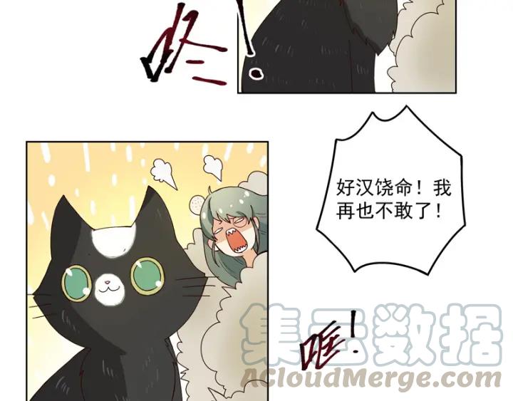 第78回白月光-浴血商后-豆腐漫画（第4张）