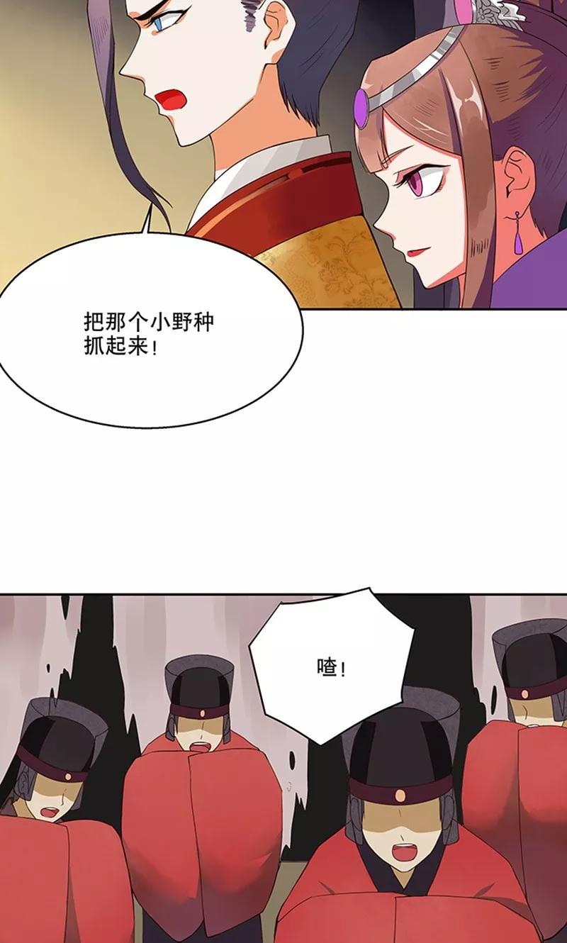 第1话-浴血商后：冷夫强宠-豆腐漫画（第14张）