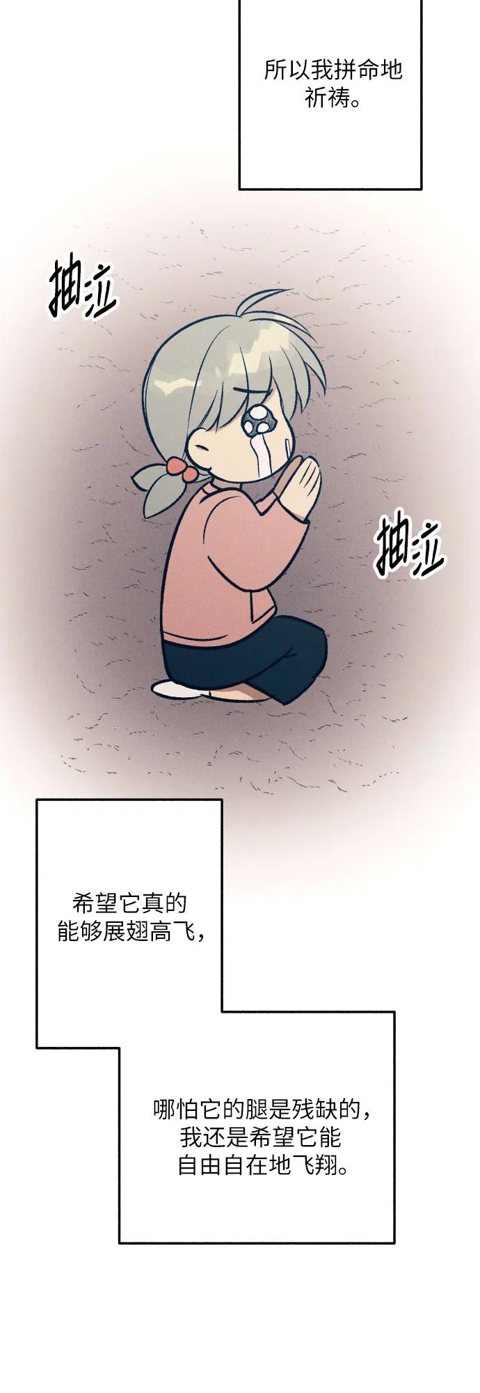 65.jpg