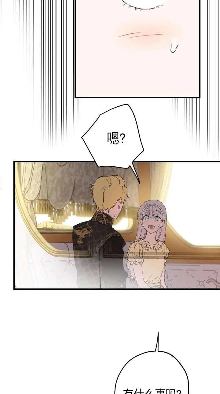 41.jpg