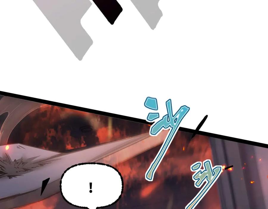 224.jpg