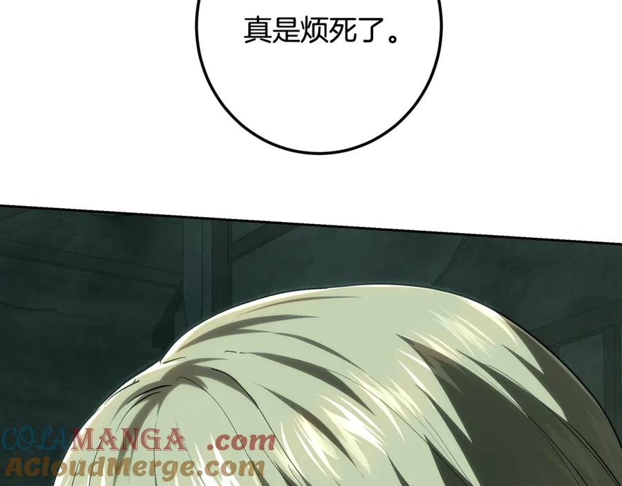 213.jpg