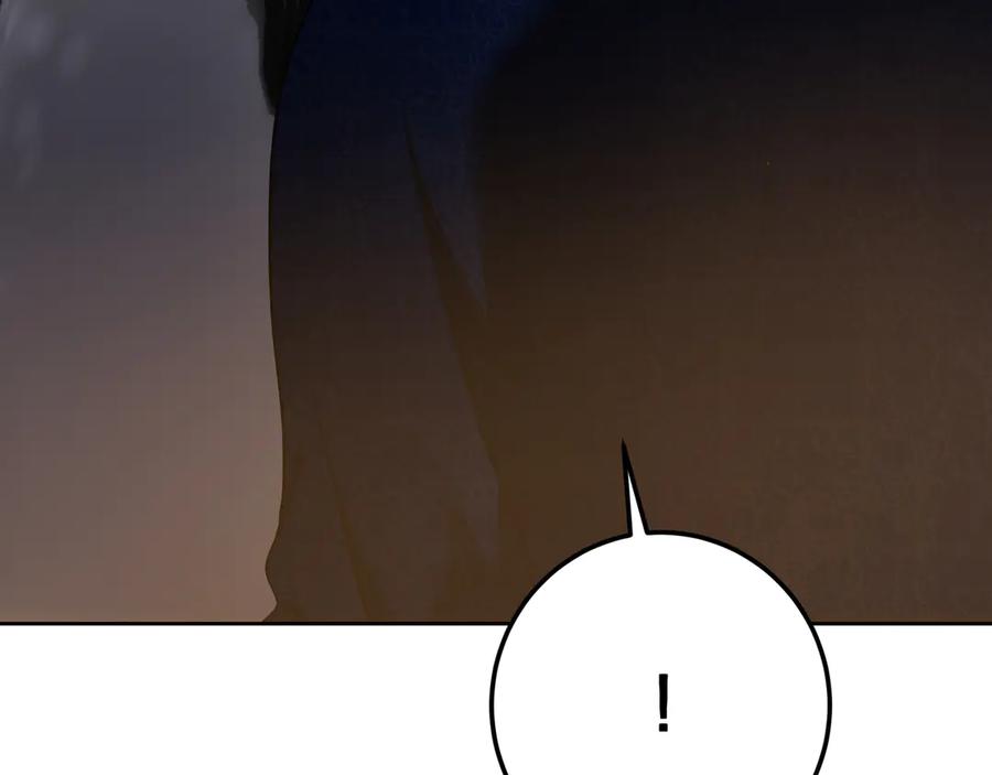 164.jpg