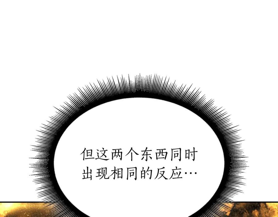 206.jpg