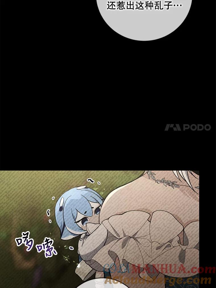 65.jpg