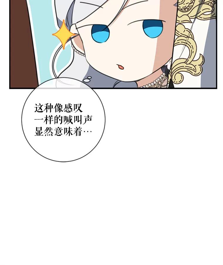 78.jpg