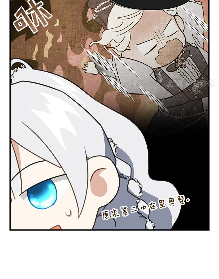48.jpg