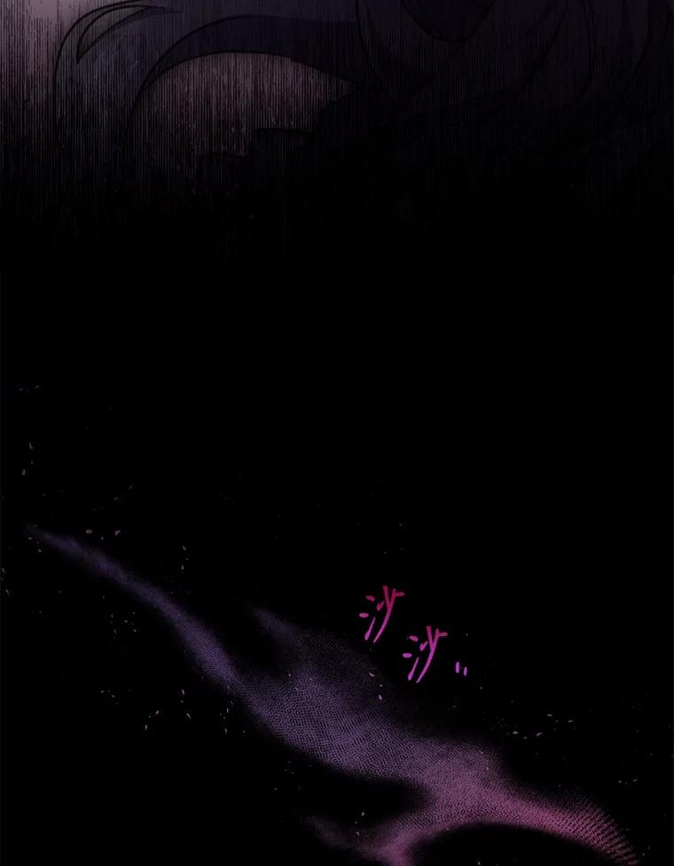 95.jpg
